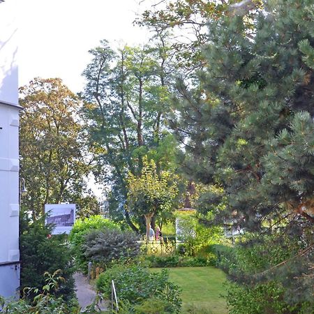 Ruhige Fewo Mit Strandkorb, Villa Stranddistel, Binz Exterior photo